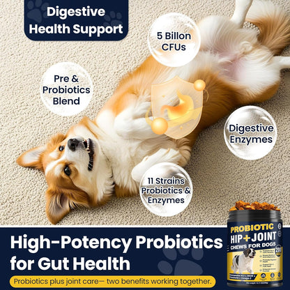 Premium Hip and Joint Chews for Dogs - 200 Count with Probiotics, Glucosamine, and Omega-3 for Optimal Health