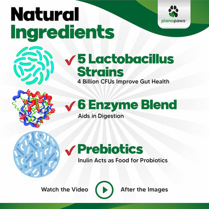 Premium Dog Probiotics Chews - 120 Count for Digestive Health, Itchy Skin Relief & Immune Support