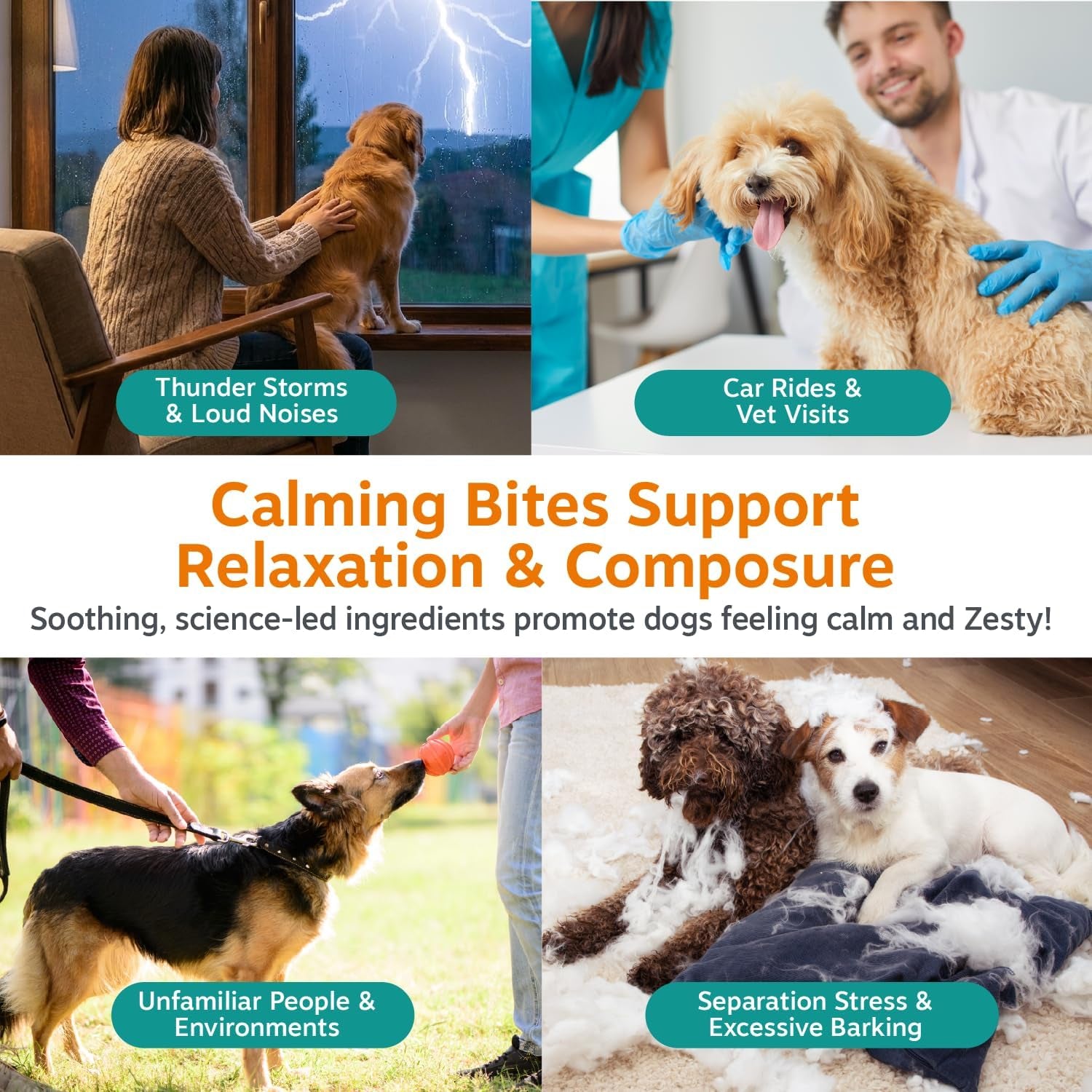 Zesty Paws Vet Strength Calming Chews for Dogs - Soothing Soft Chews with Smoked Turkey Flavor, 90 Count