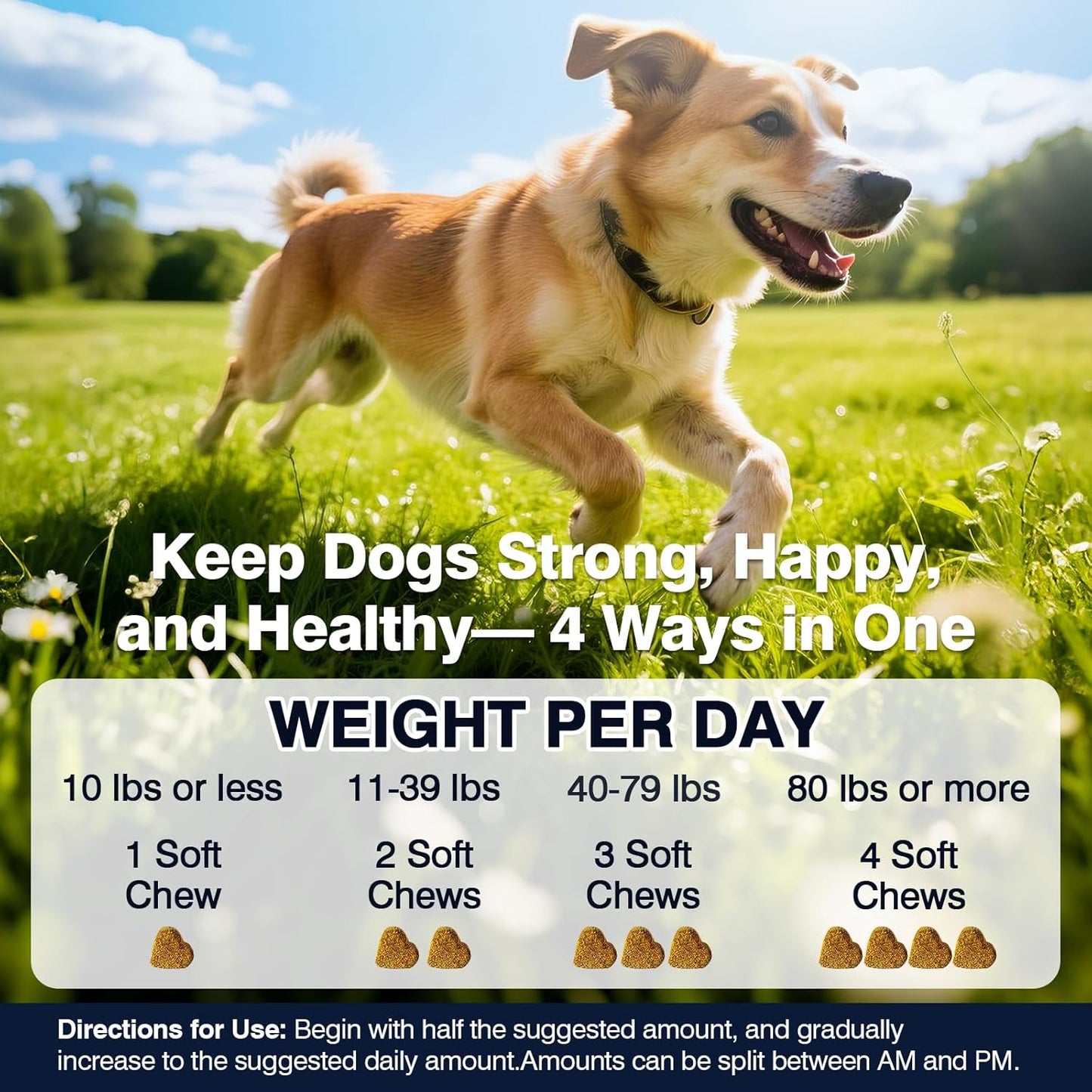 Premium Hip and Joint Chews for Dogs - 200 Count with Probiotics, Glucosamine, and Omega-3 for Optimal Health