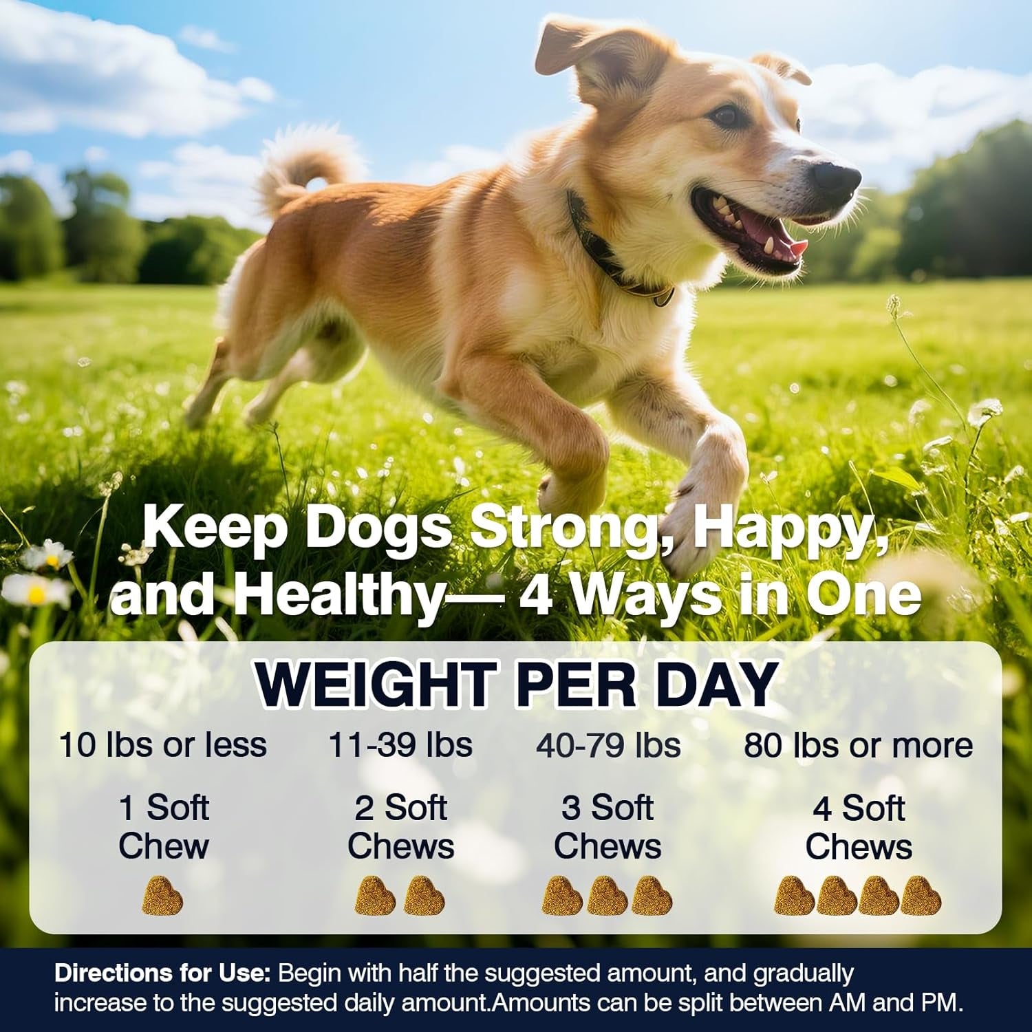 Premium Hip and Joint Chews for Dogs - 200 Count with Probiotics, Glucosamine, and Omega-3 for Optimal Health