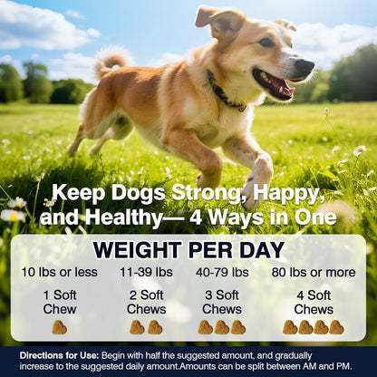 Premium Hip and Joint Chews for Dogs - 200 Count with Probiotics, Glucosamine, and Omega-3 for Optimal Health