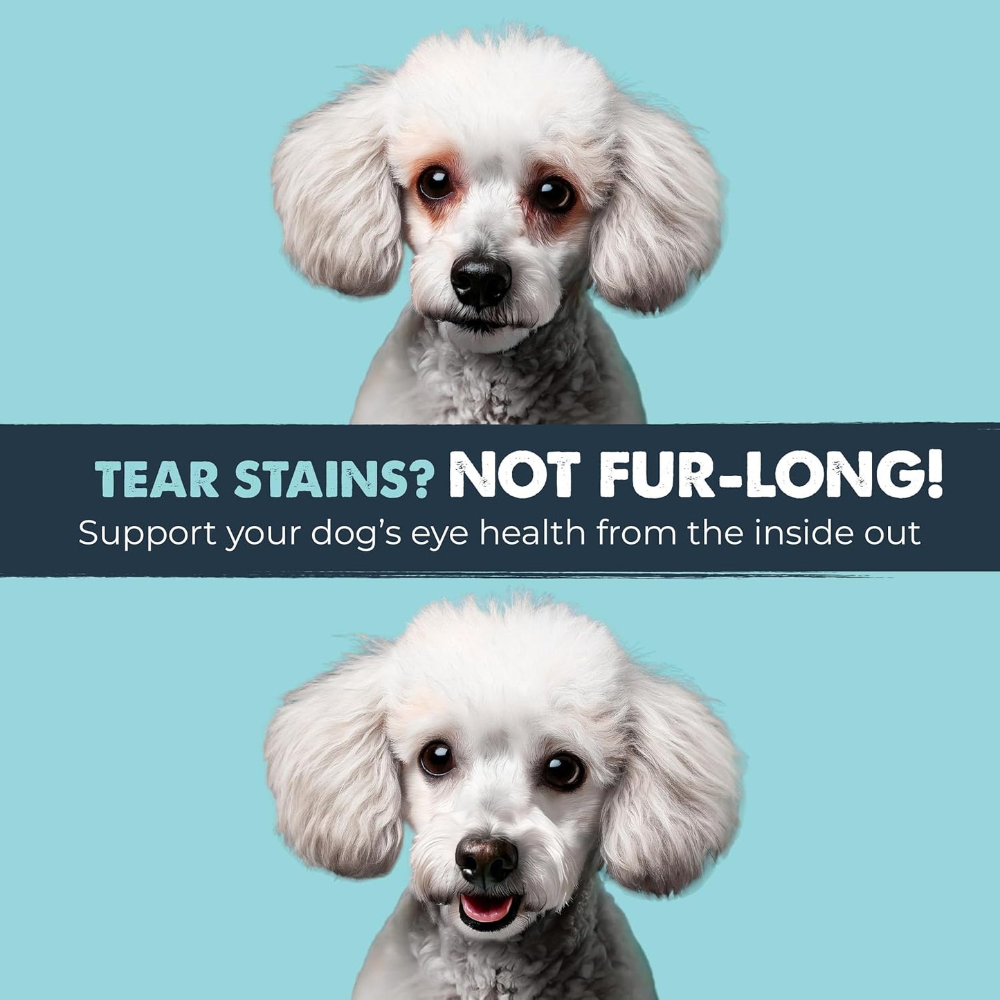 Mighty Eyes Tear Stain Chews for Dogs - Delicious Bacon Flavor, 120 Count, Vet Formulated and Made in the USA