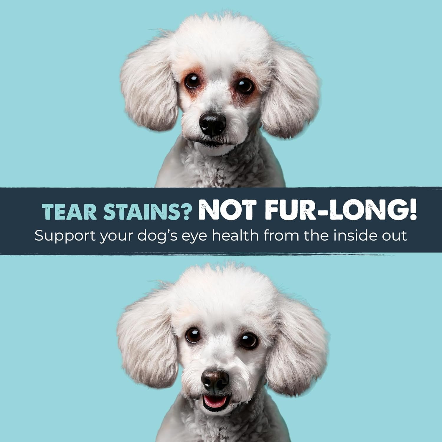 Mighty Eyes Tear Stain Chews for Dogs - Delicious Bacon Flavor, 120 Count, Vet Formulated and Made in the USA