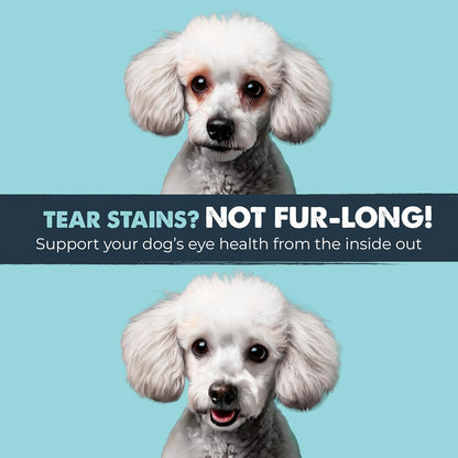 Mighty Eyes Tear Stain Chews for Dogs - Delicious Bacon Flavor, 120 Count, Vet Formulated and Made in the USA