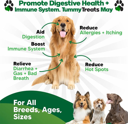 Premium Dog Probiotics Chews - 120 Count for Digestive Health, Itchy Skin Relief & Immune Support