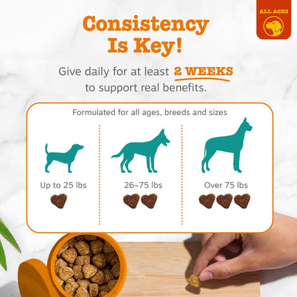 Zesty Paws Vet Strength Calming Chews for Dogs - Soothing Soft Chews with Smoked Turkey Flavor, 90 Count