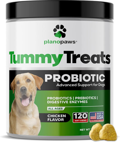 Premium Dog Probiotics Chews - 120 Count for Digestive Health, Itchy Skin Relief & Immune Support